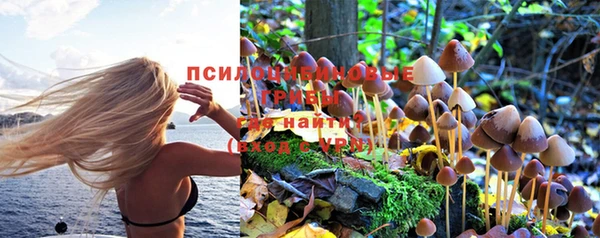 бутират Белокуриха