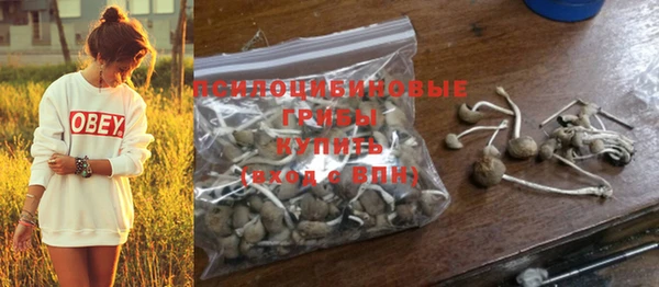 дживик Белоозёрский